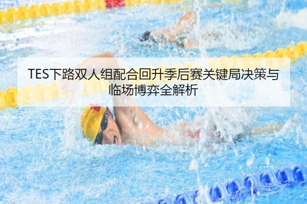 TES下路双人组配合回升季后赛关键局决策与临场博弈全解析