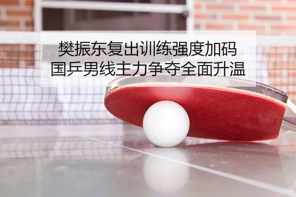 樊振东复出训练强度加码 国乒男线主力争夺全面升温